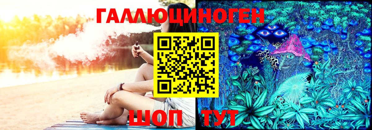 Юрга  Галлюциногенные грибы Psilocybine cubensis  как найти закладки  Вход с VPN 