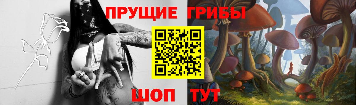 Псилоцибиновые грибы мухоморы Юрга