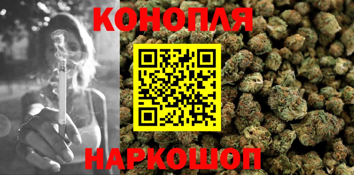 Марихуана сатива Юрга